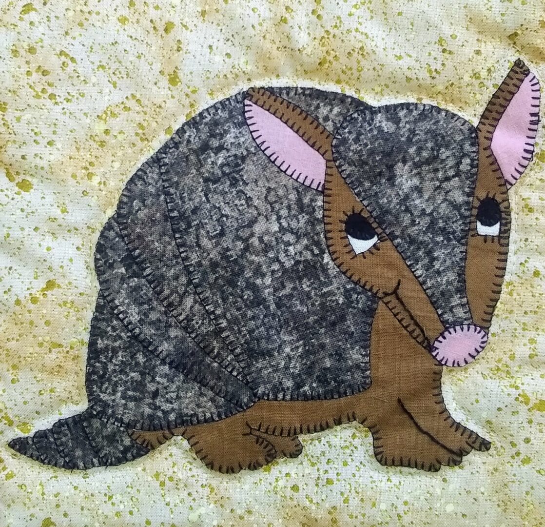 Armadillo on a yellow background.
