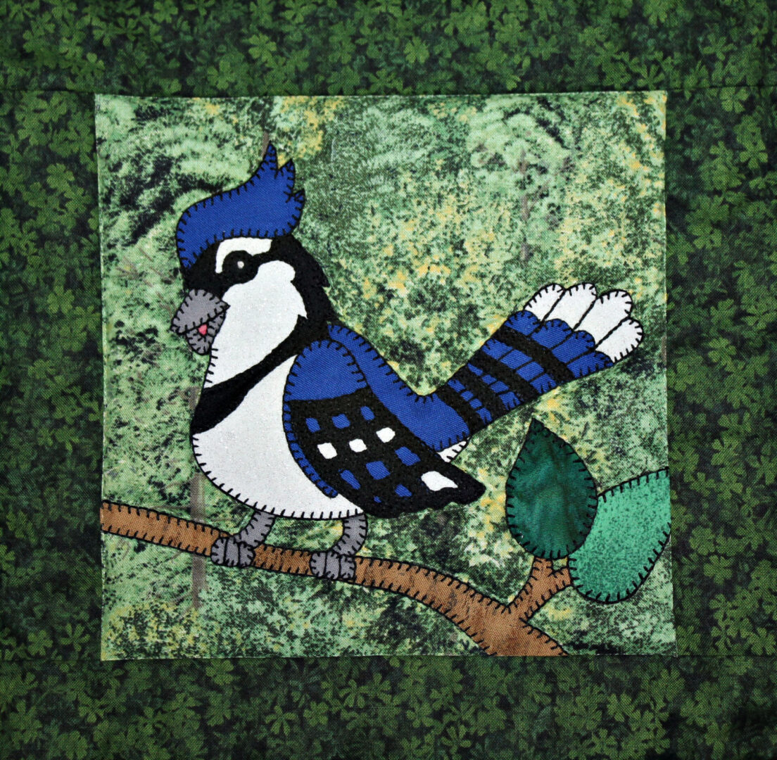 The Blue Jay is sitting on a branch.
