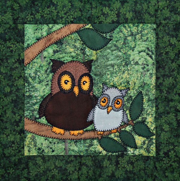 Two Owls sitting on a tree branch.