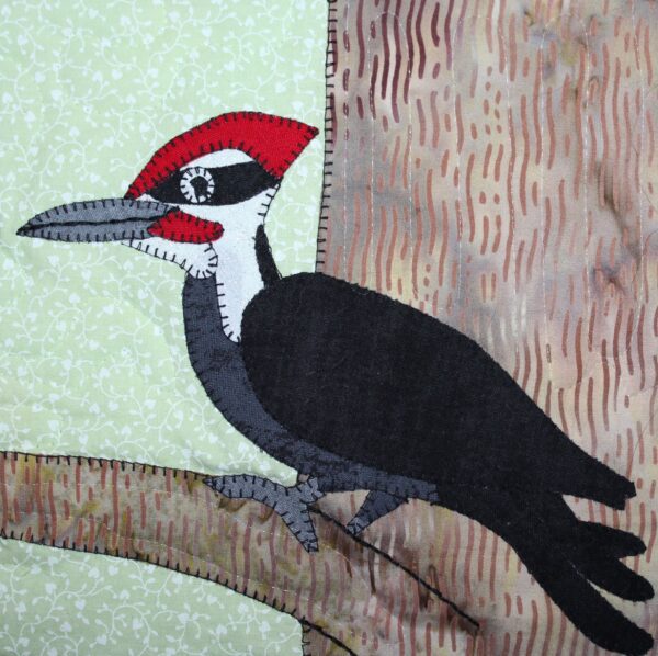 An image of a Pileated Woodpecker sitting on a branch.